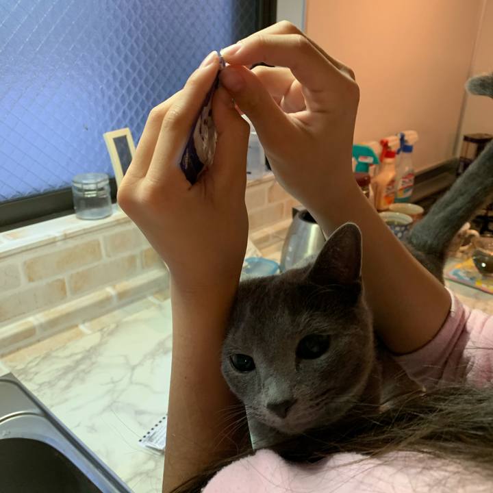 40a21ecc a467 4bd7 8818 201e02468a1d 1581634845673