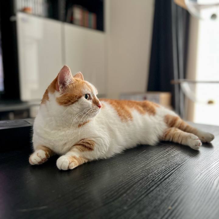 40a24ed7 ee66 4783 886e efbf95a5d8e9 1754883283431