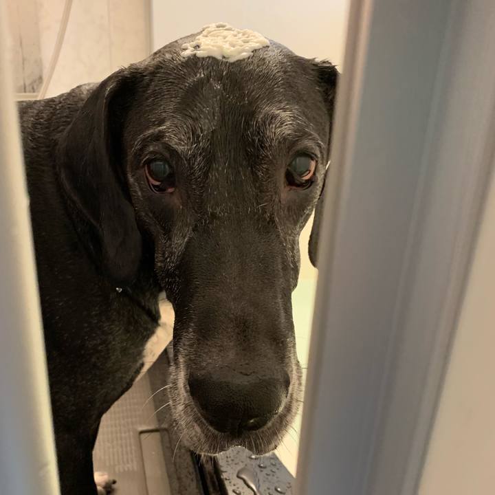 40a28491 cd55 4d19 941b e399ce57bb2f 1549667996743