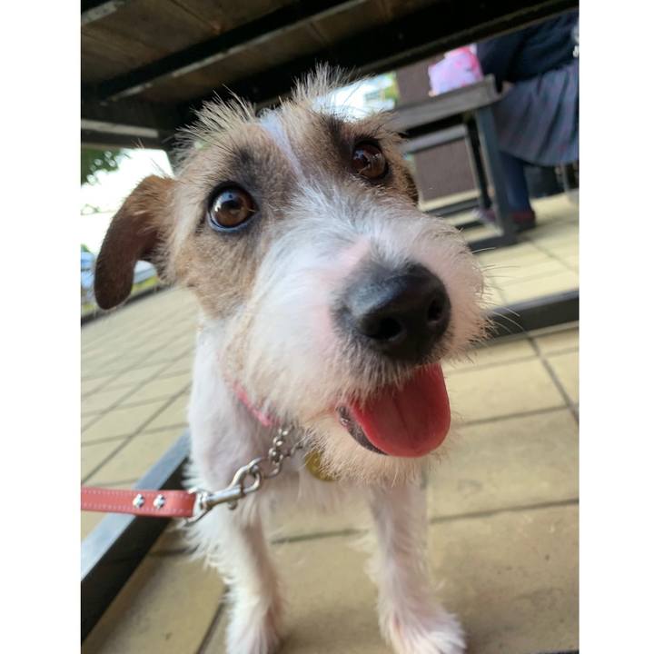 40a288c9 ae05 449f b4bb b495c24502f8 1593447400936