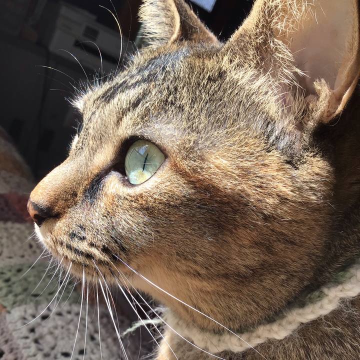 40a29691 44e1 4f3a 8be4 c4731b9b2a41 1648340728041