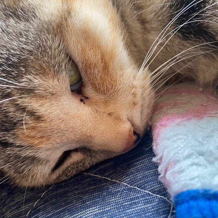 40a2ad35 b8e8 4bb8 b594 909f84407800 1588381482011