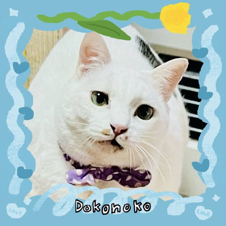 40a2b5ae 6a2b 4eaf 9771 0a8ab11a4325 1771848508117