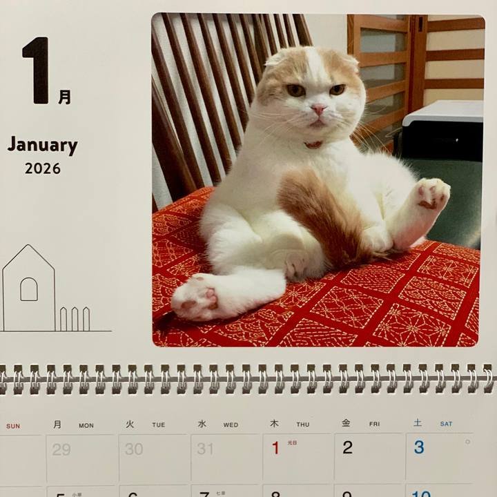 40a2e6b4 91db 40e7 91c5 c642ebb838b5 1767236123100