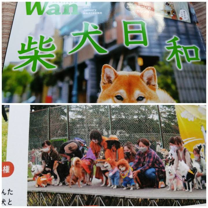 40a2f141 7cbf 47b8 ab22 3729a60afce9 1608177312862