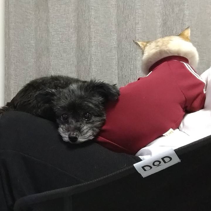 40a2f74a e8cc 4900 80f5 2151b69404fb 1682509486101