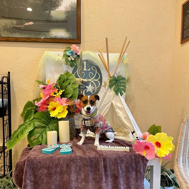 40a2fd78 a4b1 4580 bbc8 f4e36d912ccf 1629550304715