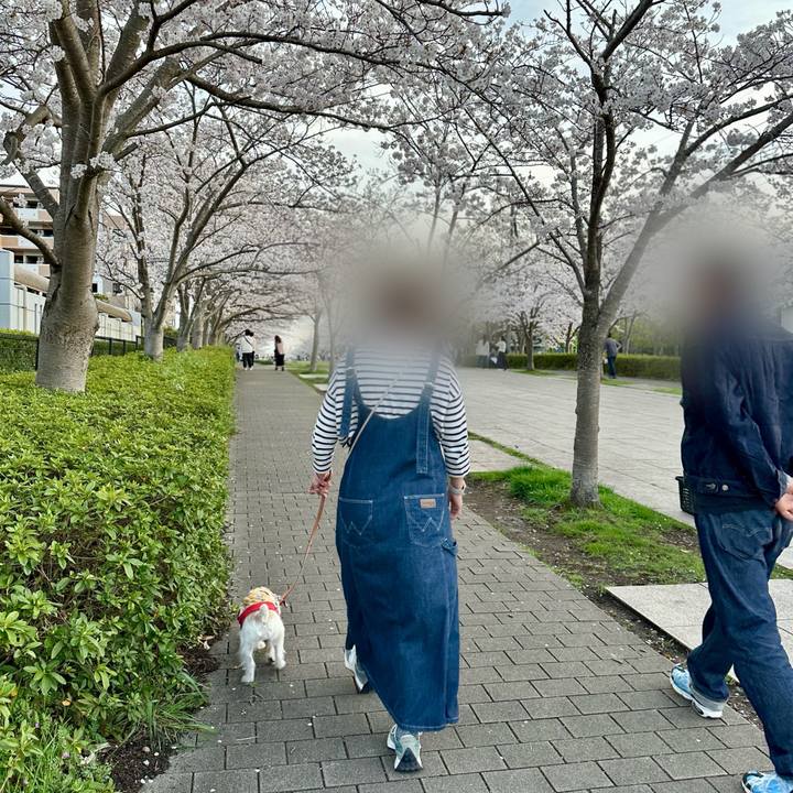 40a30b3f 5544 418a 8f37 66c01b14804c 1712499703929