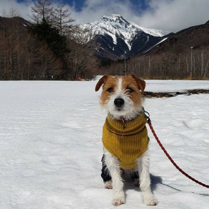 40a330ea 229a 4147 beb6 4766dd1e187c 1553390628884