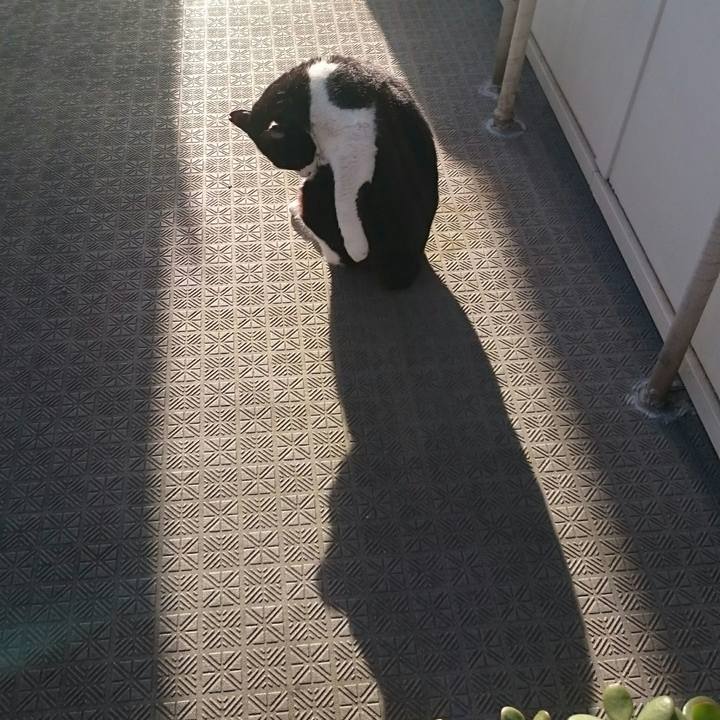 40a340bc 01ef 4a64 ad12 89eb45a8362c 1523227621341