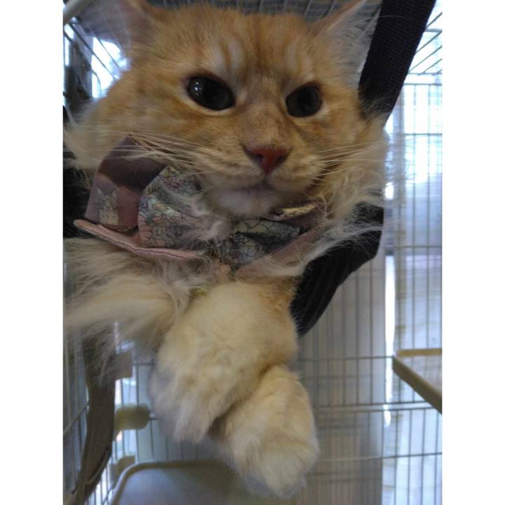 40a371a7 1a15 4614 8373 4359016dddee 1718274243794