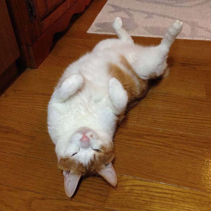 40a37823 c2ba 4f4e 810d e50af4f9c4aa 1508238396496