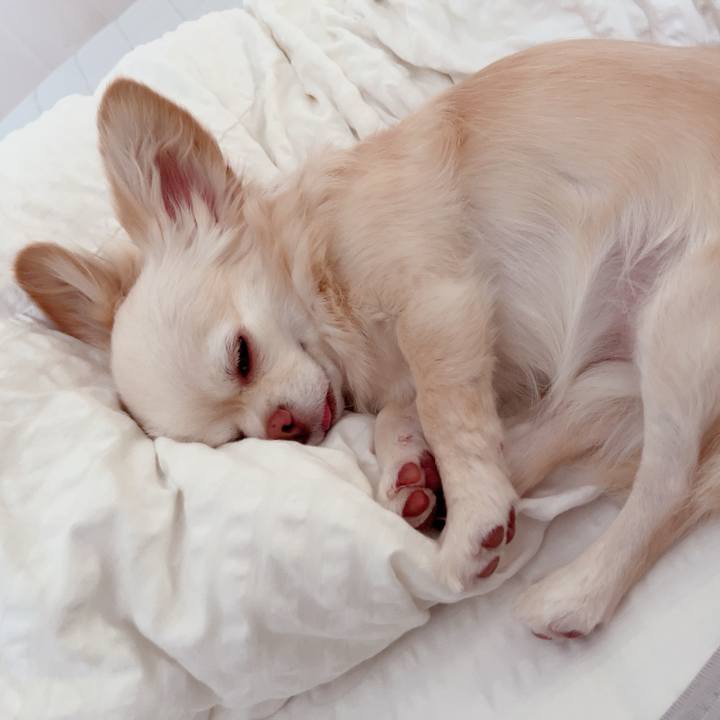 40a38d49 390b 4bbb b6a7 53c0d331635c 1719893115872