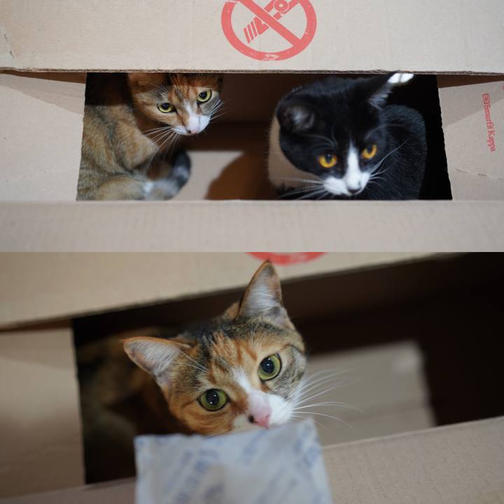 40a3ce15 6805 43ac b494 ec156bc612ee 1618318970793