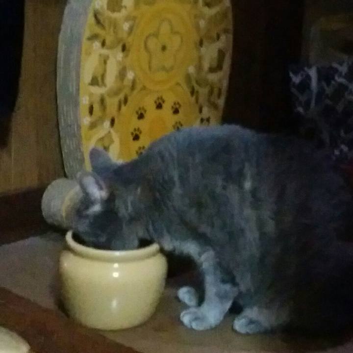 40a3f79b 91d5 4755 9a50 41330ffd28b9 1592404701327