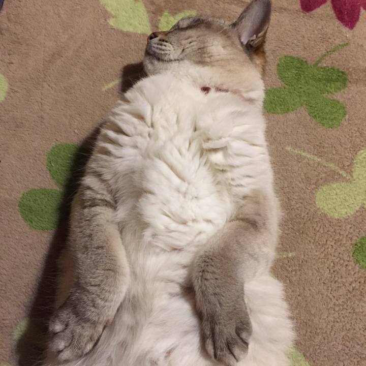 40a40150 8f42 4b66 a14d e9086894e2f4 1557055758526