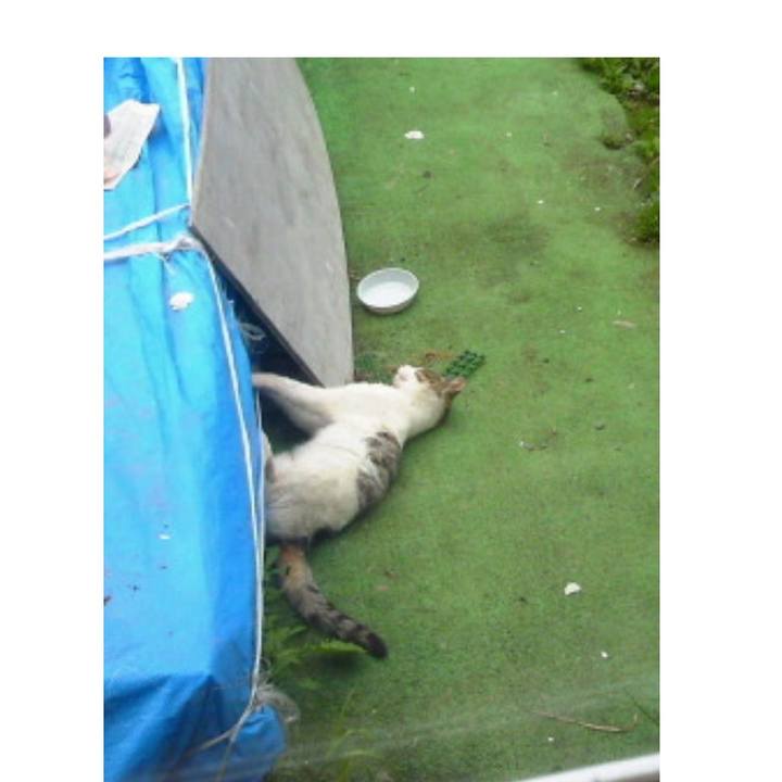 40a40270 3ad9 4c42 bca2 89c590ee5284 1550666844532