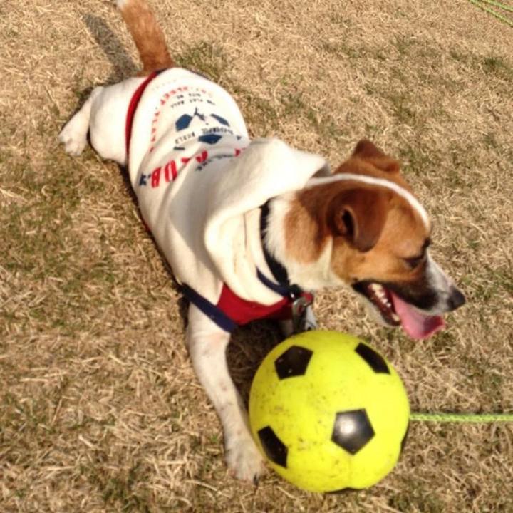 40a4158e e89d 4f54 bf57 f09e0f830648 1707653013675