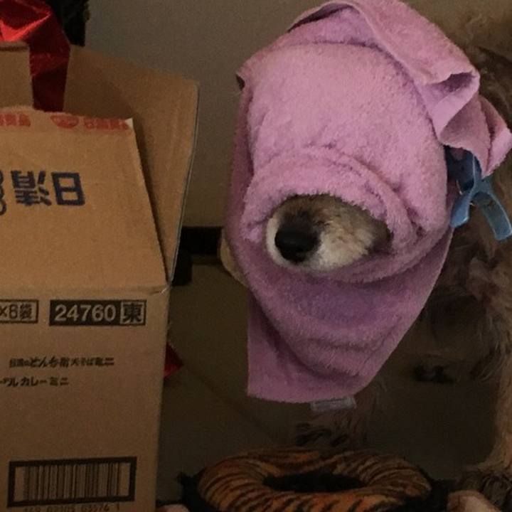 40a41793 85af 4802 a9b8 c504151e2779 1609140788537