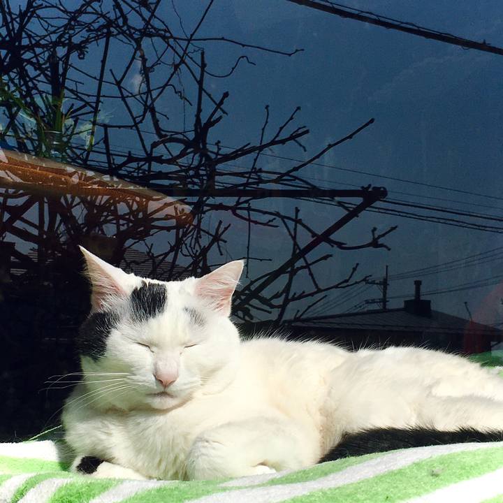 40a43981 b0dd 4519 a5d7 85d93050db9a 1615444368254