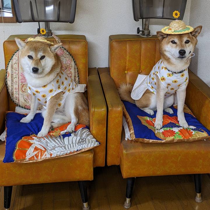 40a445b8 eb38 476b bfba f47506f8a3fc 1718770916433