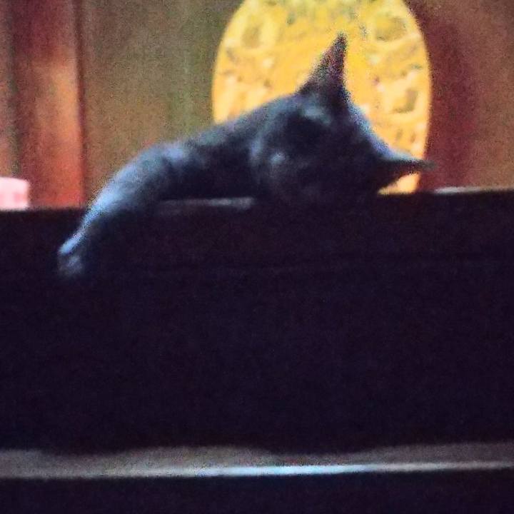 40a446ca 7571 40fa b20e 3987d50f0674 1693191749556