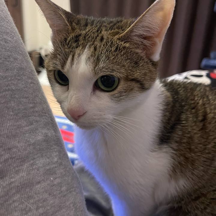 40a45a56 b84c 4a6b b8cf 70de1abd97b3 1698253043134