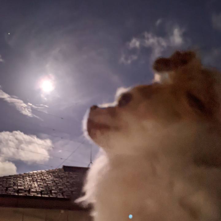 40a47ca4 cda9 416b ab86 aa0fea0242df 1695911169680