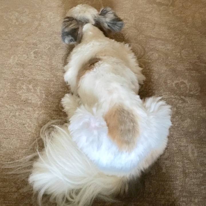 40a48622 01f2 4c58 81f9 b4a1cbb09121 1508658096759