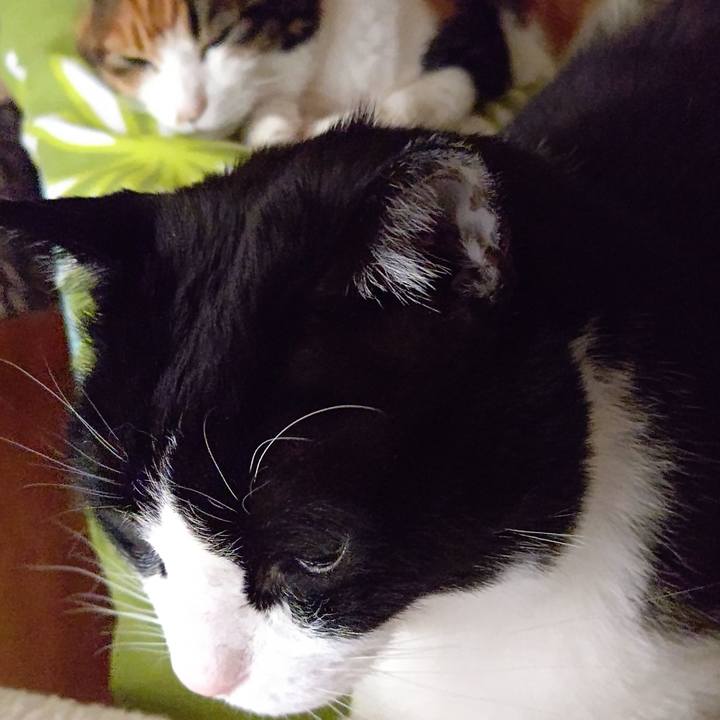 40a4d110 5cee 4778 aeb5 8ff731eeb97f 1644619159069