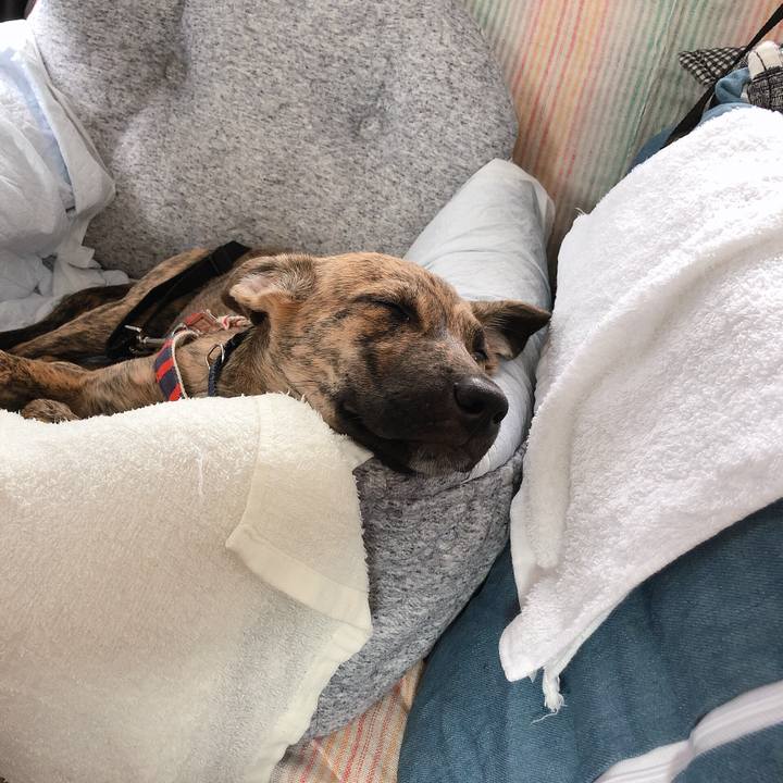 40a4f14a f1da 49c2 aaba 2829cc2d3d31 1568960558364