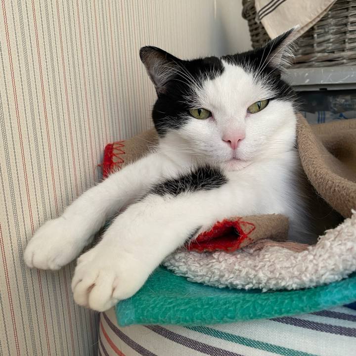 40a52520 829d 42d9 a9fd bfd6bbde9486 1769036917866