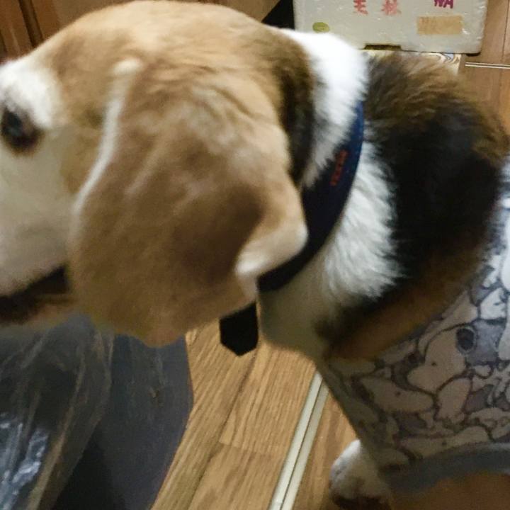 40a53a2f 8511 4d2e ad7f 37f493998702 1569662599491