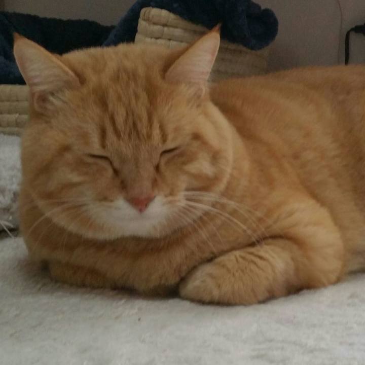 40a54a85 9bf9 4f0b 80fd 3ad0789e480a 1545866850864