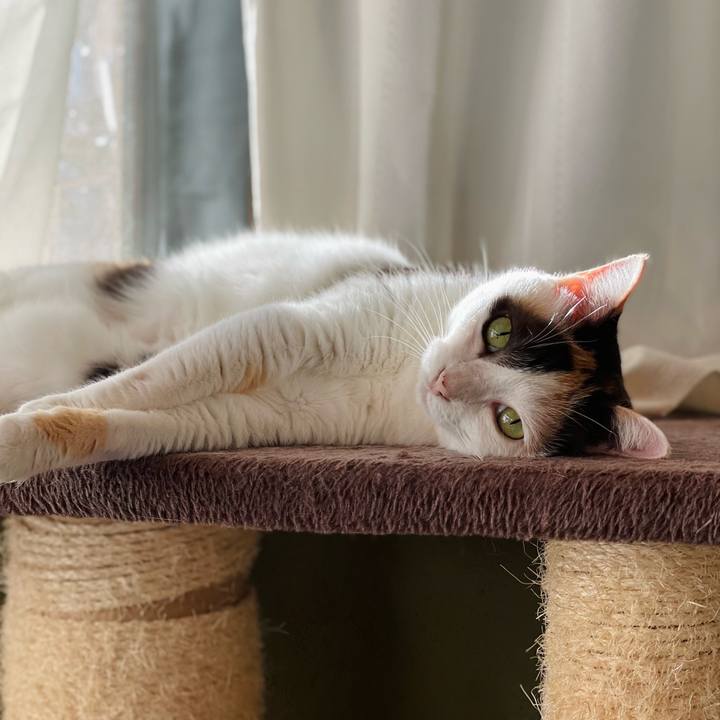 40a54e51 6467 46a6 88a9 50d86f596eaa 1635473242557