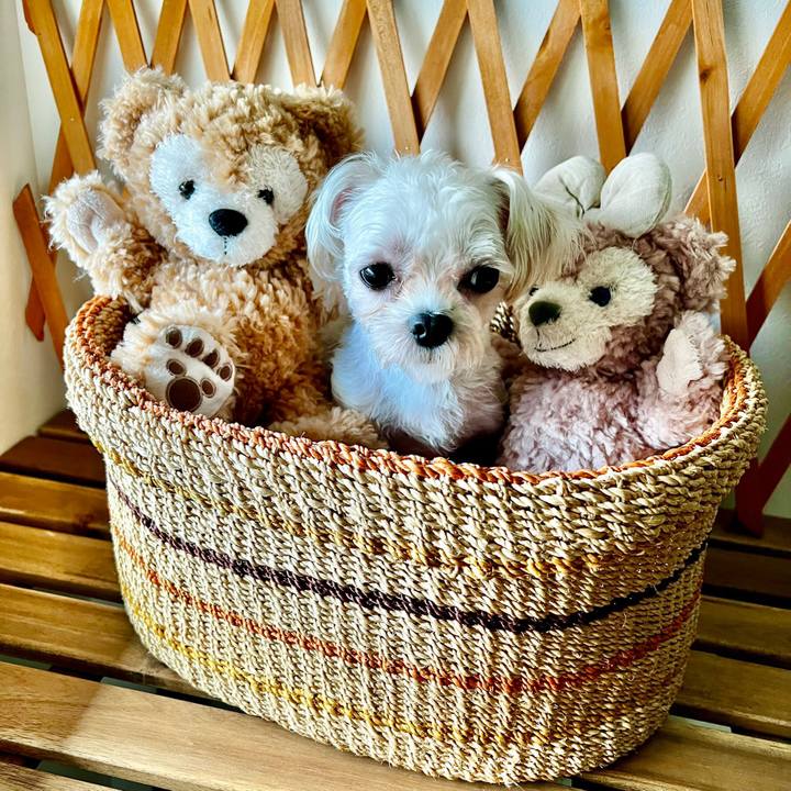 40a551b1 4965 4d81 aaea 89a1f1bdd683 1660177097638