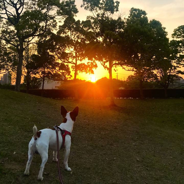 40a5832c e402 4b1c aca6 6df0d9f73f47 1524401616689