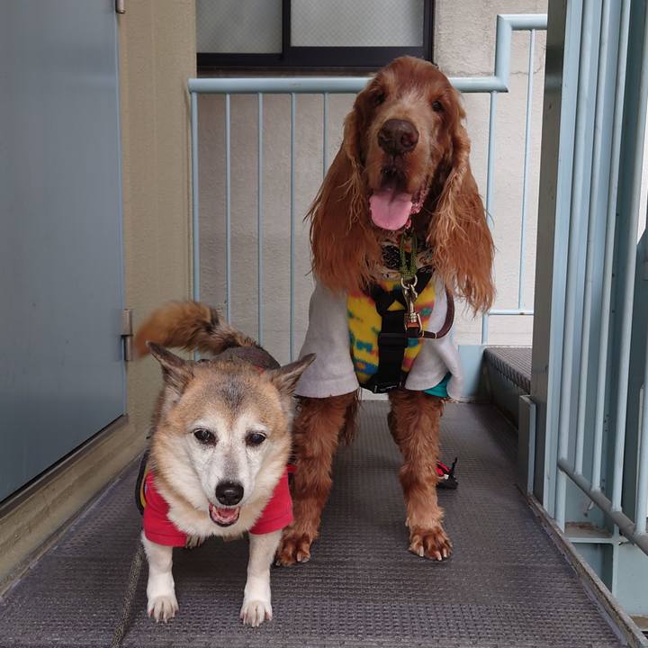 40a59b21 a2c8 4822 94ca 786e5e8aa454 1708165916909