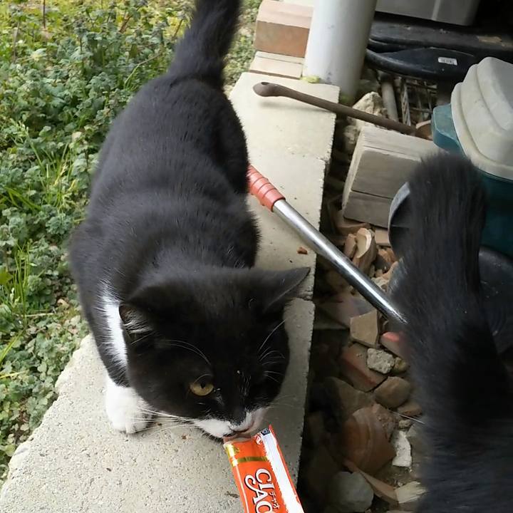 40a5ab26 bd39 4e37 8ada 96cfe92df7cb 1549168630083