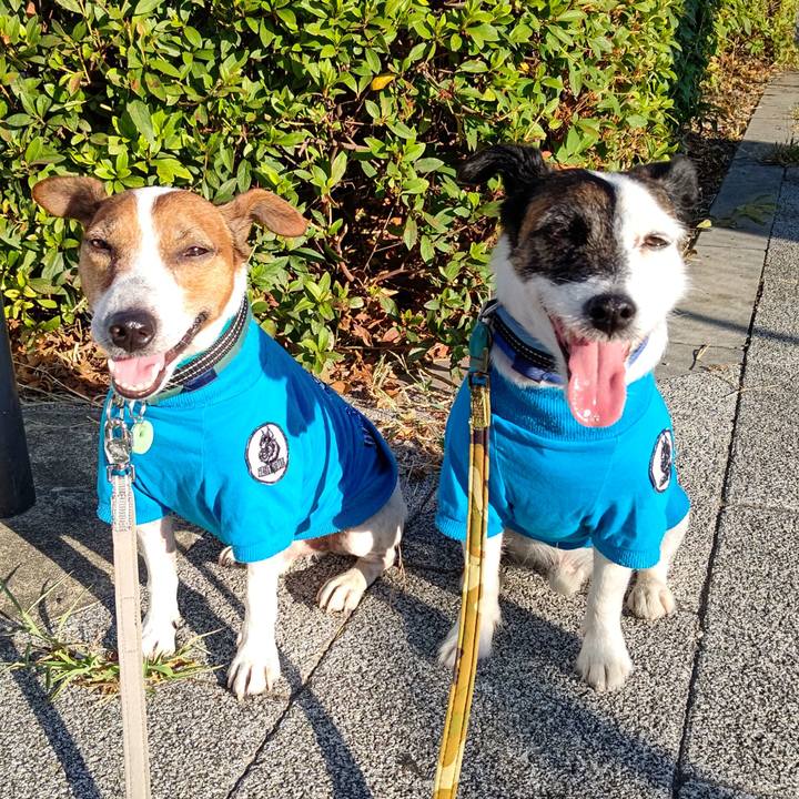 40a5f4c7 7b5a 4790 a863 774e5291af12 1690752873443