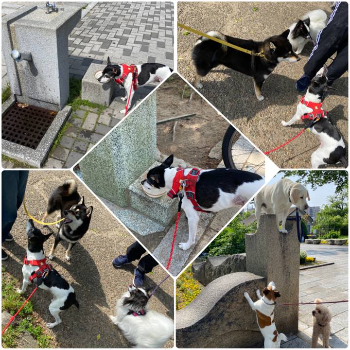 40a5fee6 eeb7 4aa4 a283 8d4806d39876 1620529025960