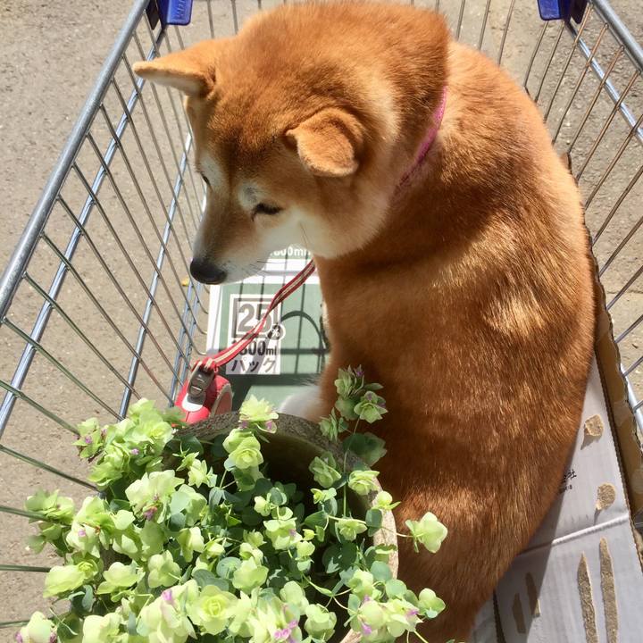 40a60189 eb36 4bba 8474 9b89ec905794 1523359448313