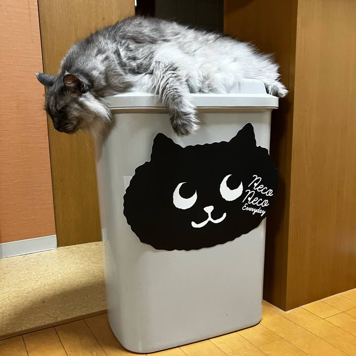 40a61adc d72f 4d36 b3d4 681ff69a7a92 1723420945891