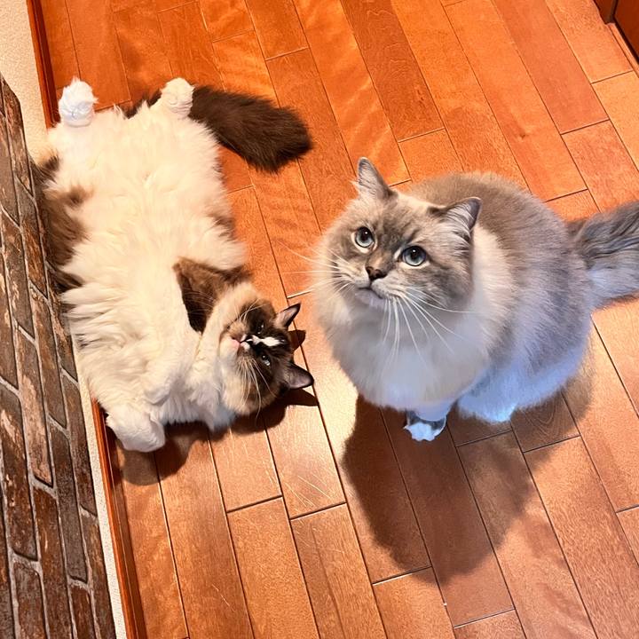 40a61e35 a08e 4fc4 94ce 7ae5f0a81f95 1664120290411