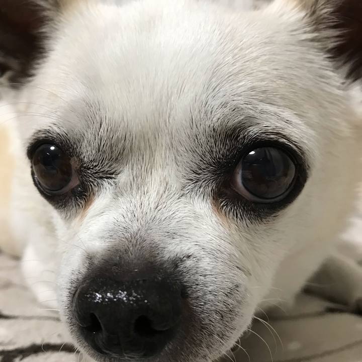 40a61f1c 285e 40fa 96b2 f962ac19ef54 1657278513532