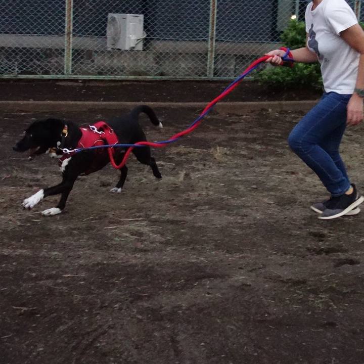 40a62a60 af56 4397 9d4d 17eed49ecd8e 1600166180296