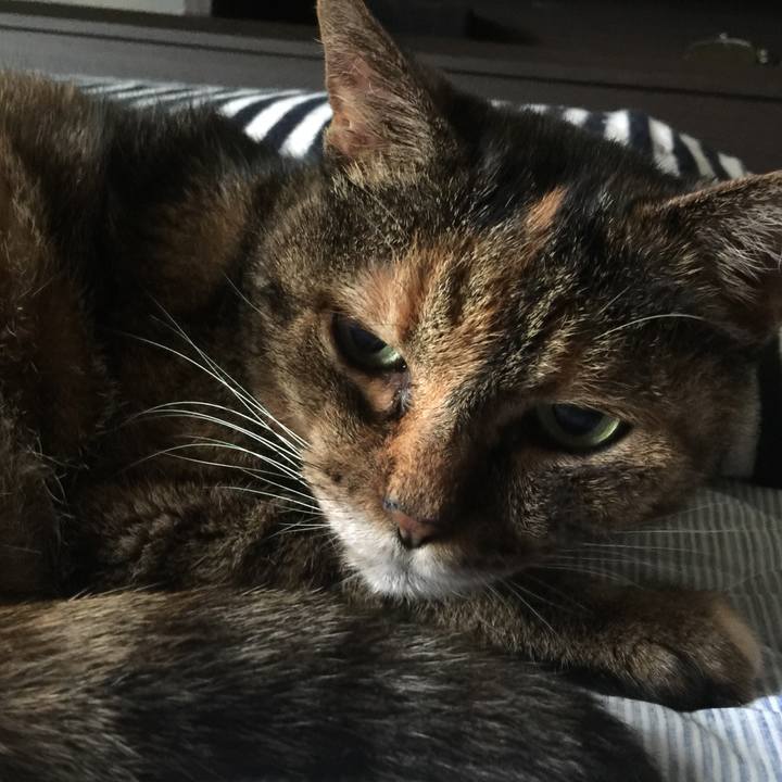 40a63ad6 0979 471f 8541 8fb3df4edc72 1595284855611