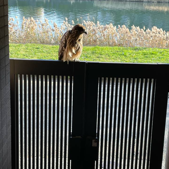 40a63f87 7580 4f8c 84aa db32da8c96f2 1669630698940