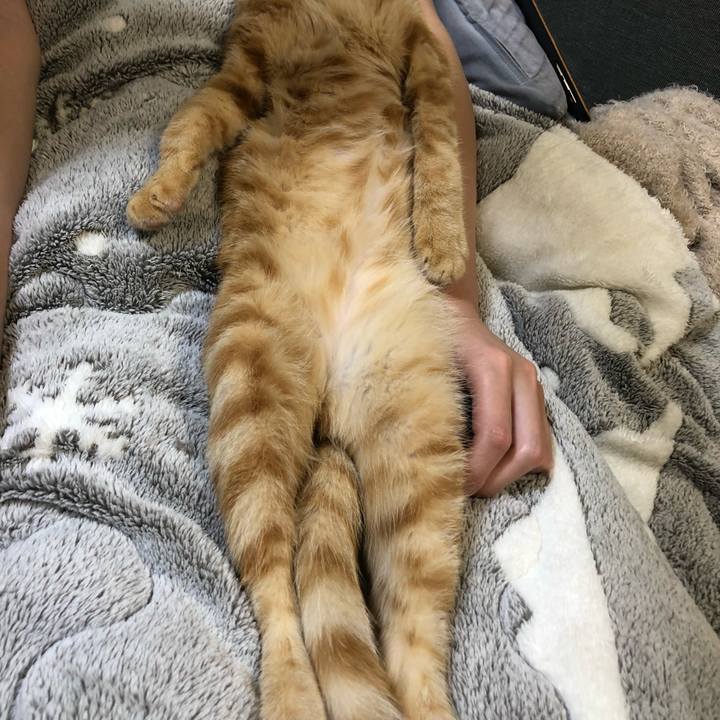 40a678ed 8d3d 4b7f be7e 33506aa60ce0 1573566509917