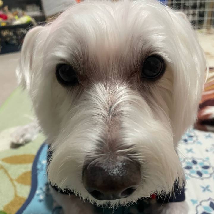 40a6a5f1 4cca 4cab a8a5 955eff27ab16 1769436618848